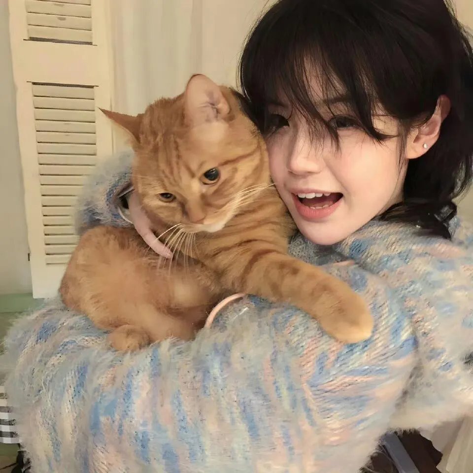 我签到就有钞能力